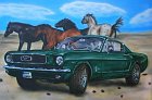 a091-Mustang-Bild